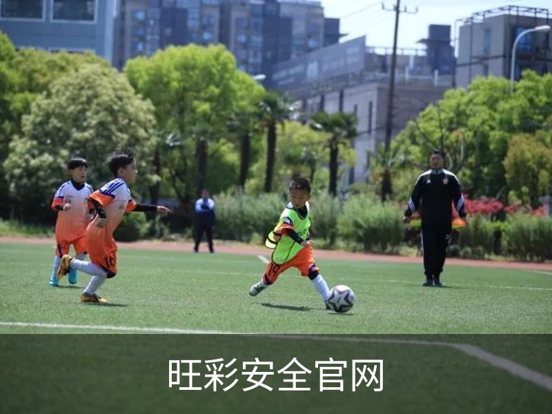 旺彩安全官网概况